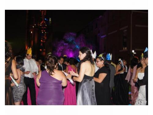 Animación profesional