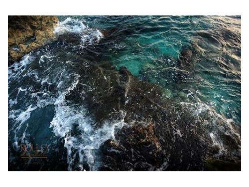 Fotografías para tu boda