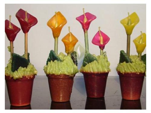 Recuerdo para invitados