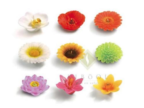Variedad de velas en forma de flores