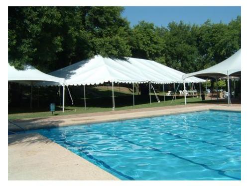 Carpa cerca de alberca