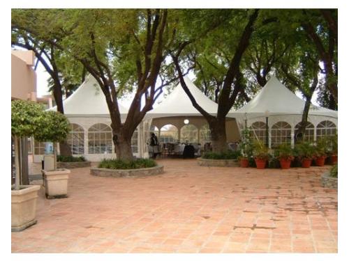 Carpas de excelente tamaño para todos