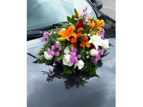 Decoración de automovil