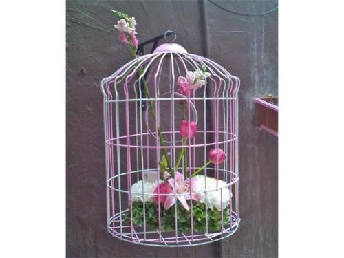 Le dan el toque especial a tu evento