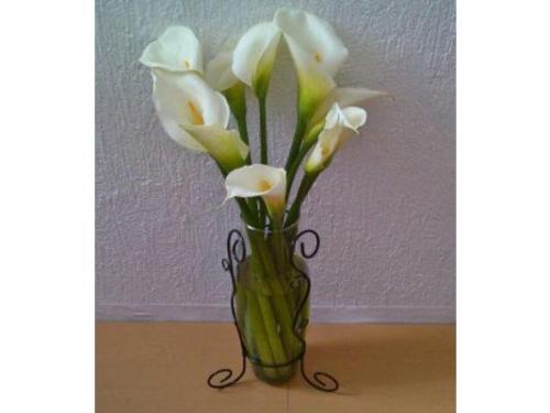 Arreglos para sorprender