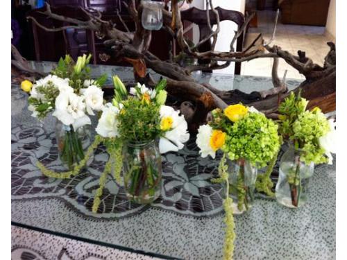 Distintas  propuestas