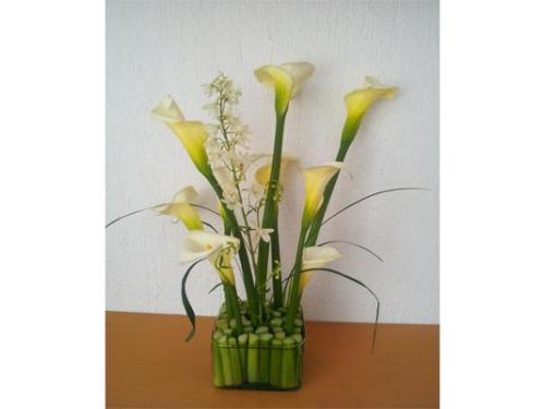 Variedad de arreglos