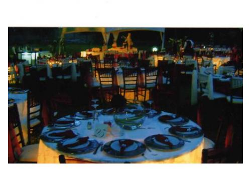 Montajes de fantasía