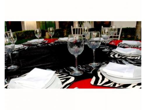 Montaje detalles de cebra