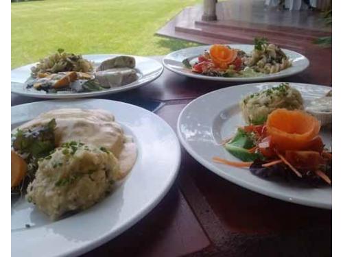 Diferentes platillos