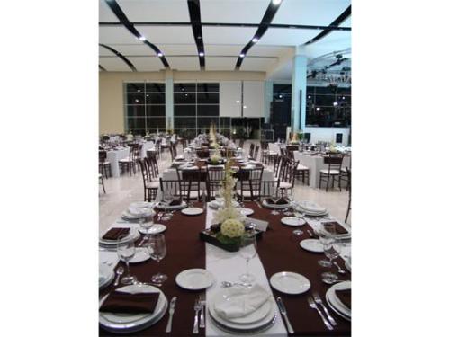 Los colores que elijas