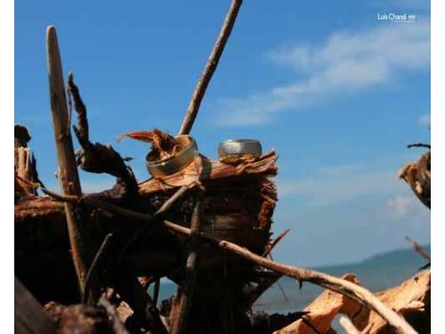 Anillos de enamorados