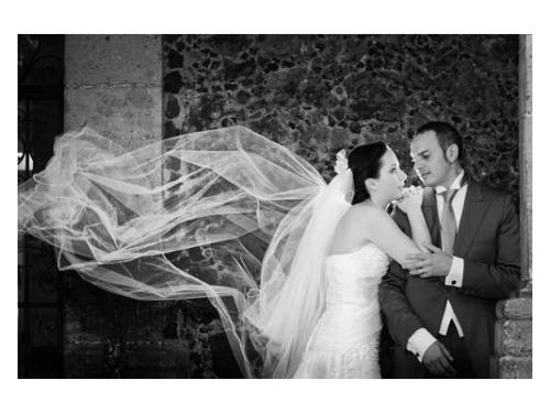 Excelente fotografía