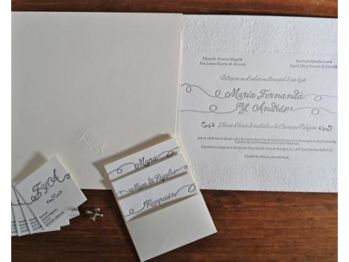 Plasman todas las ideas