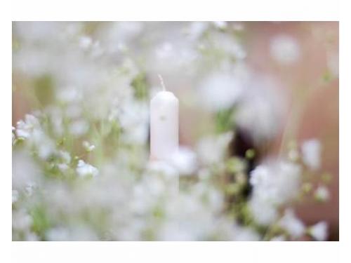 Fotografía para bodas en alta definición