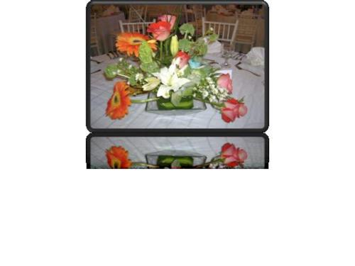 Flores naturales en tu mesa