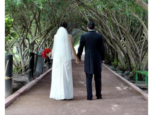 Camino a la felicidad