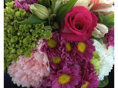 Variedad de opciones