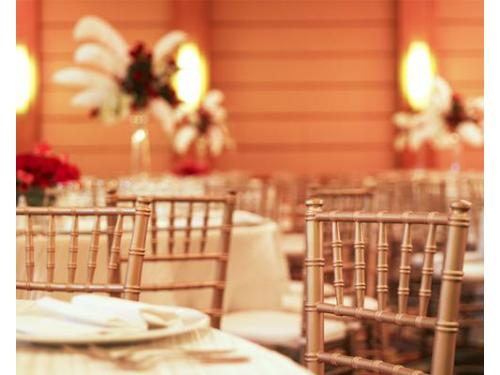 Sillas tiffany color dorado