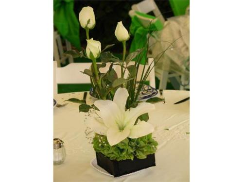 Detalles verdes con flores blancas