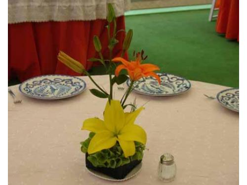 Lilis blanca y naranja