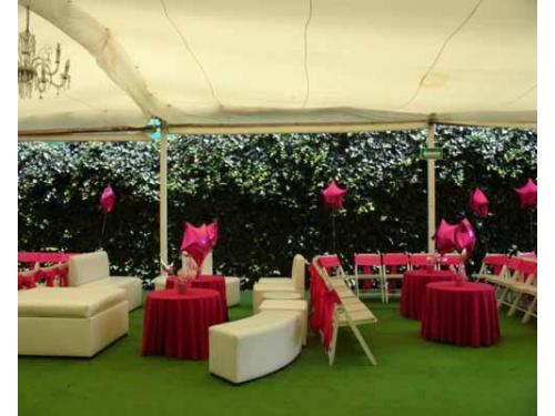 Combinaciones blanco con rojo