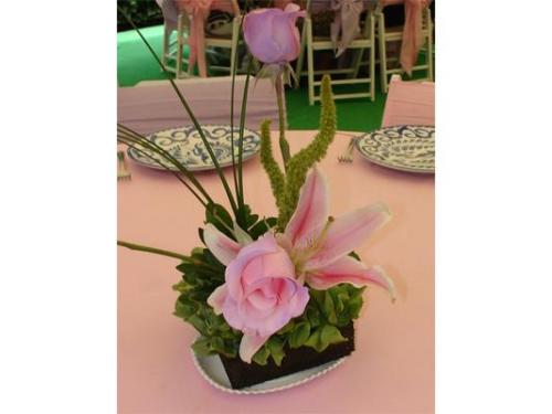 Muy bonitos para niña