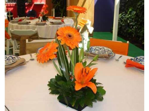 Combinación en naranja