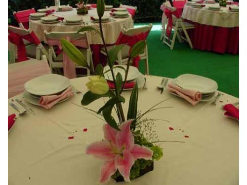 Variedad en centros de mesa