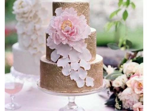 Pastel de los novios