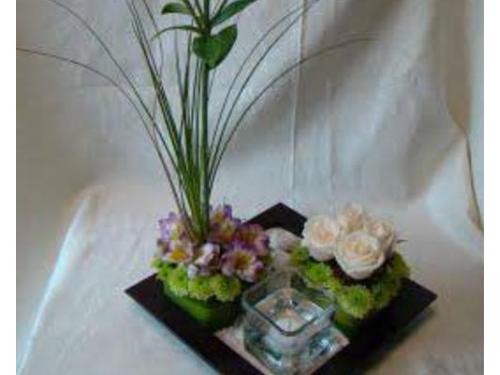 Combinación de técnicas