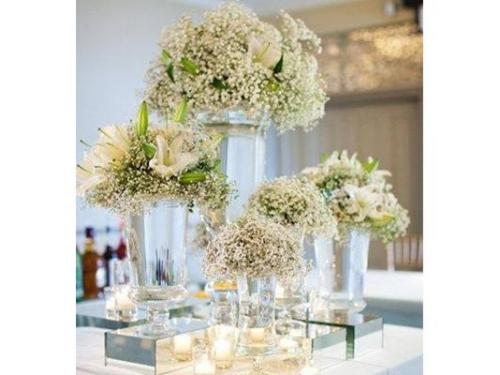 Variedad de diseños