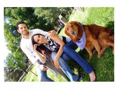 Fotos con tu mascota