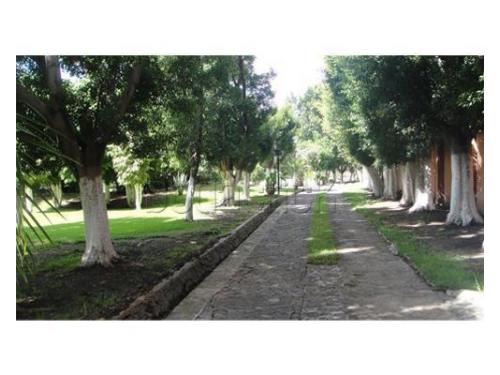 Ideal para tomar tus fotos