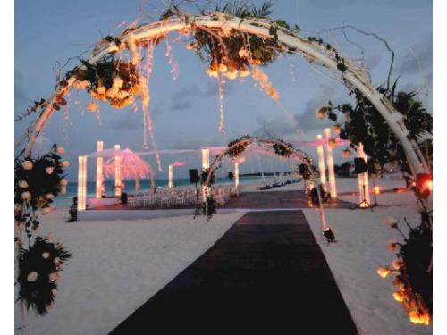 Entarimado y decoración