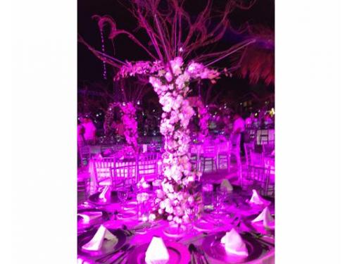 Iluminación perfecta