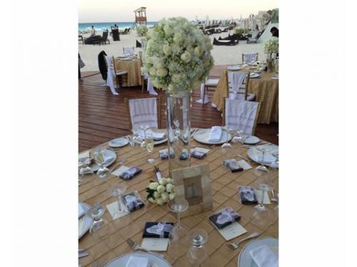 Excelente presentación