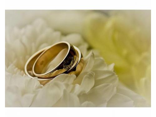 Elige el modelo que más te guste