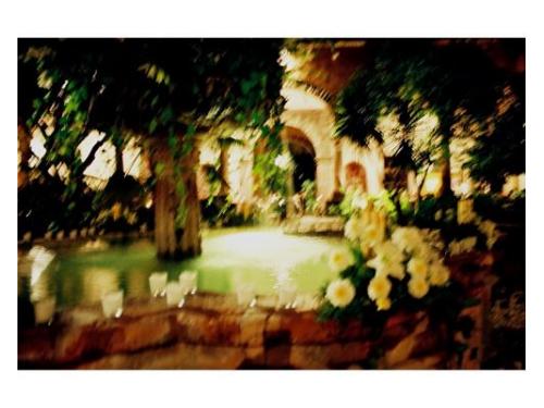 Decoraciónes hermosas en tu boda