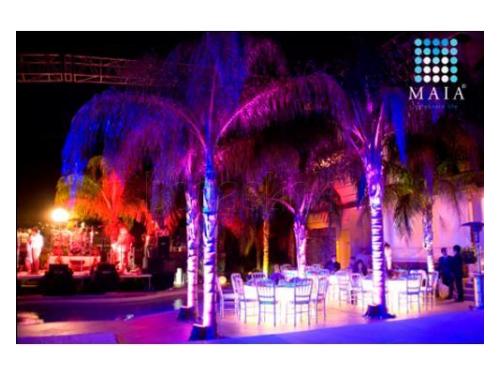 Lugares mágicamente increíbles