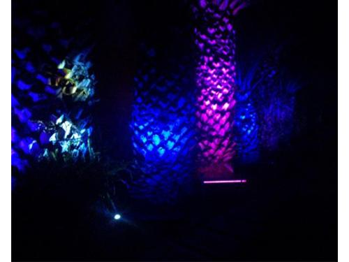 Decoración con iluminación detallada sobre planos