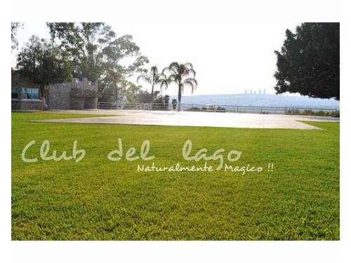 Amplio jardín para que camines