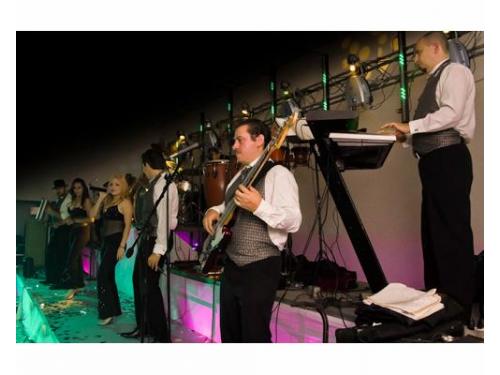 Músicos y cantantes con experiencia