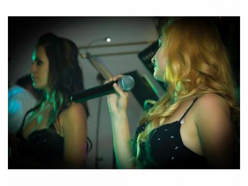 Voces privilegiadas dentro del grupo