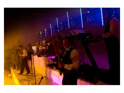 Músicos profesionales