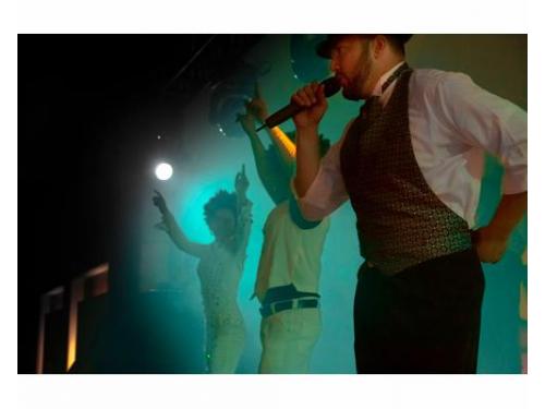 Cantantes profesionales