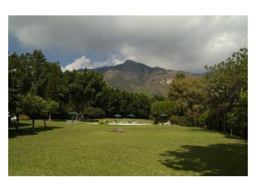 Vista panorámica del jardín
