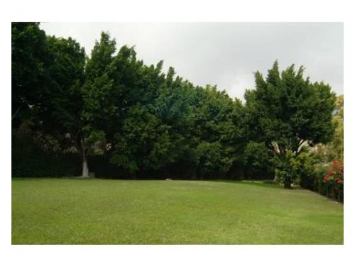 Vista panorámica del jardín