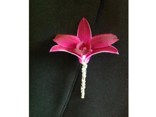 Color a tu elección