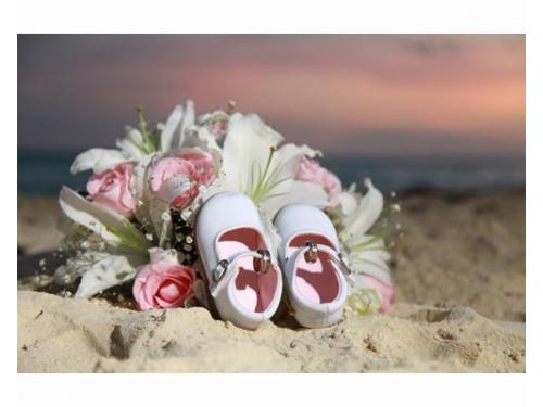 Detalle de conchas de mar